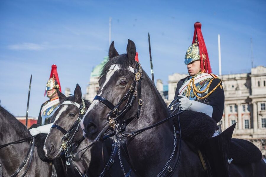 London: Changing of the Guard Walking Tour - Photo-worthy palace views without the all-day crowd trap