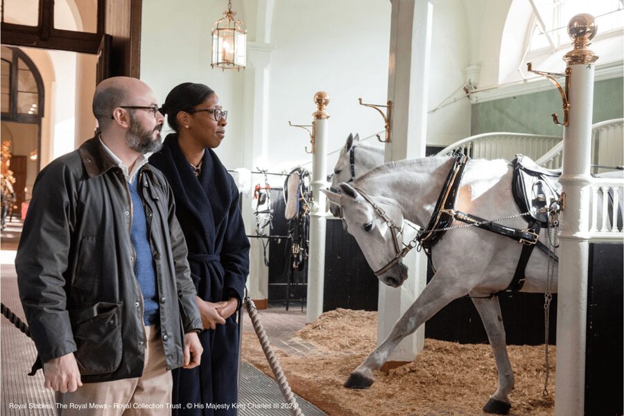 London: Royal Walking Tour with Guard Change & Royal Mews - St James’s Park and Wellington Barracks: the “in-between” scenes