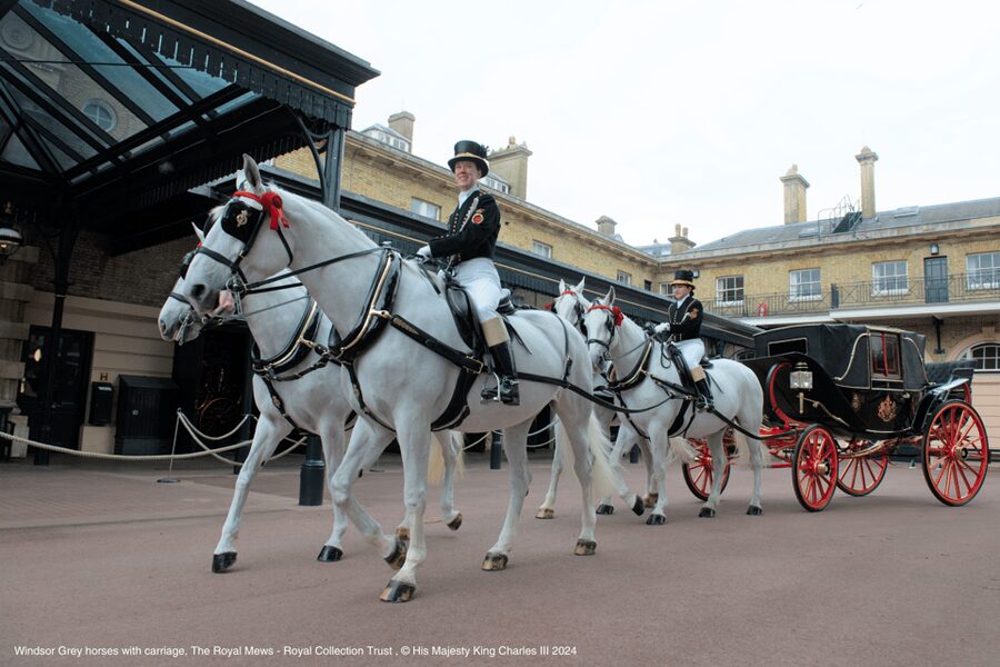 London: Royal Walking Tour with Guard Change & Royal Mews - What I think is the best value at $79.47 a person