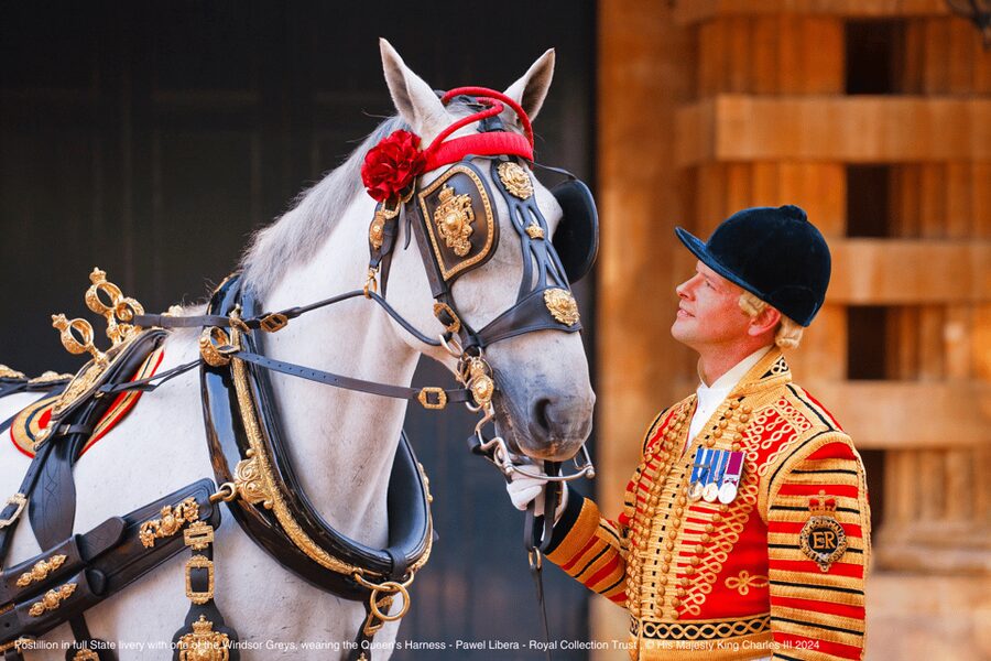 London: Royal Walking Tour with Guard Change & Royal Mews - Who should book this tour