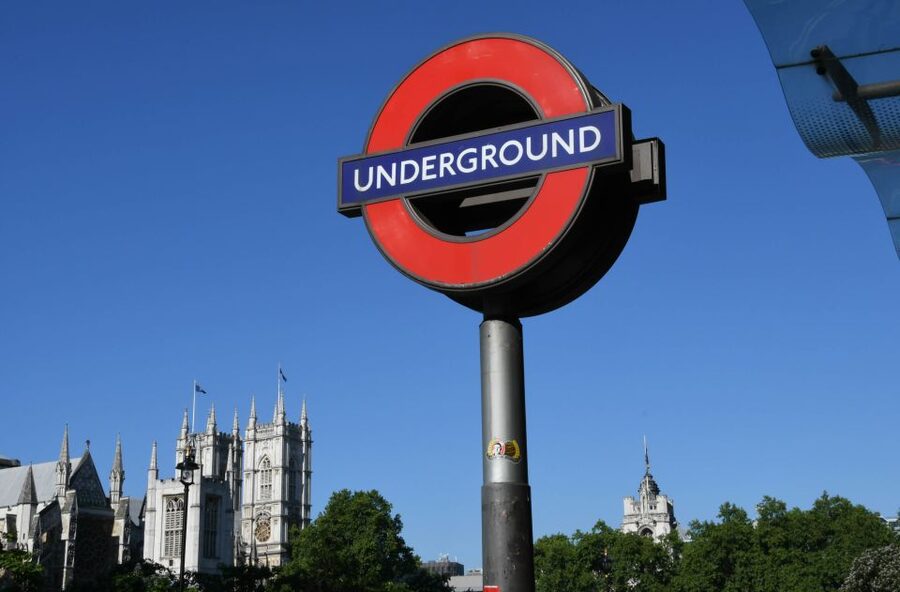 London: Westminster Walking Tour & The Tower of London Entry - Key highlights worth the hype