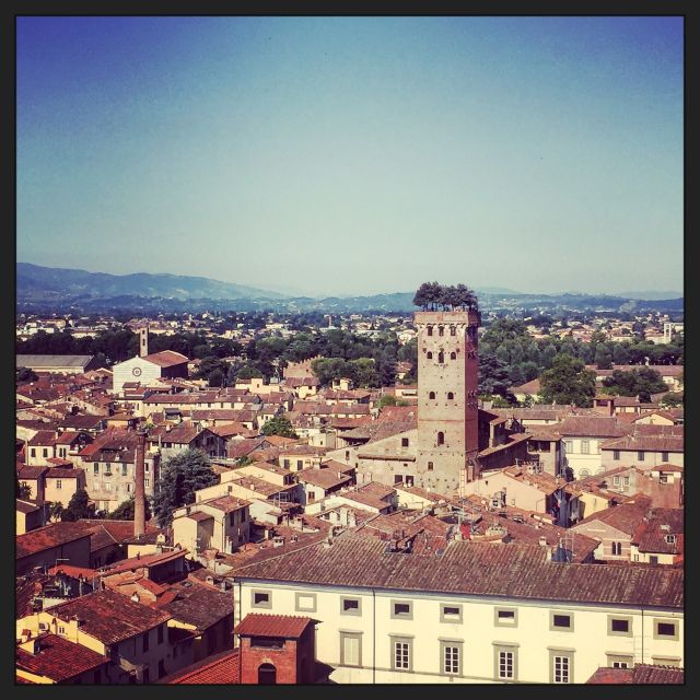 Lucca: 2-Hour City Center Walking Tour - Starting at Vecchia Porta S. Donato: where the walk clicks into place