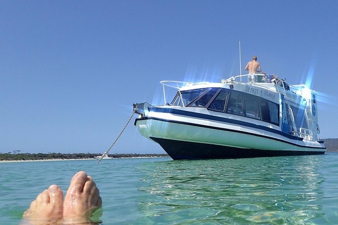 Maria Island Cruise and Guided Walk Day Tour with Lunch and Drinks - From Hobart to Maria Island: How the Day Comes Together