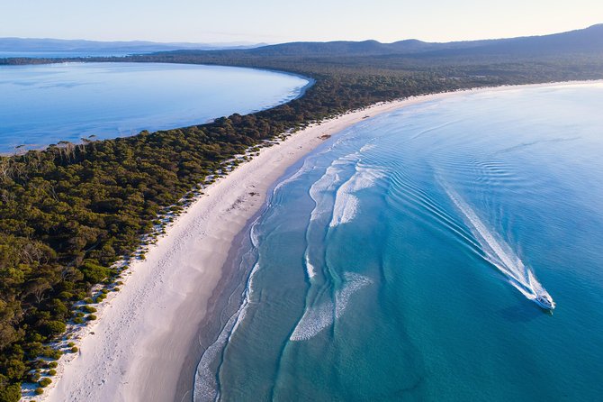 Maria Island Cruise and Guided Walk Day Tour with Lunch and Drinks - The 4-Hour Scenic Cruise: Wildlife and Geology With Commentary