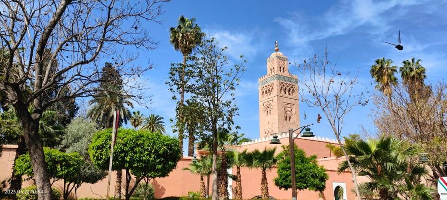 Marrakech 3-Hour Walking Tour - La Koutobia Mosque: Marrakech’s landmark you’ll feel right away