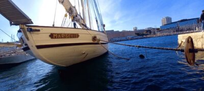 Marseille: Half-Day City Highlights Guided Walking Tour - Le Panier and Hôtel de Ville: Marseille on foot, not in a car