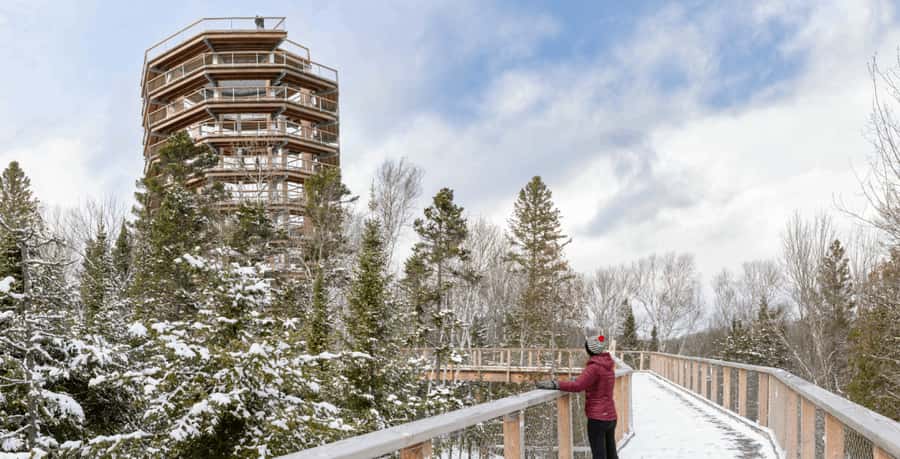 Mont-Tremblant: Treetop Observatory and Self-Guided Walk - Key things you’ll notice right away
