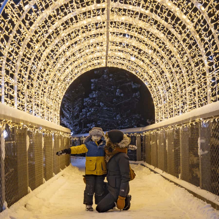 Mont-Tremblant: Treetop Observatory and Self-Guided Walk - Ticket, parking, and drive times from Tremblant and big cities