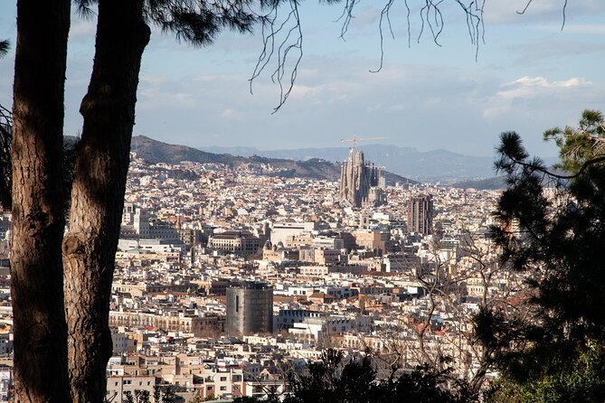 Montjuïc Walking Tour With Optional Flamenco Show - Montjuïc After Dark? No, It’s About the Walk