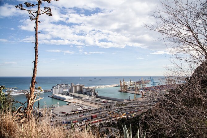 Montjuïc Walking Tour With Optional Flamenco Show - Meeting Point and Route Shape (What Changes Your Day)