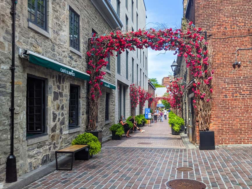 Montréal: The Original Old Montréal Walking Tour - What to Bring (So the Tour Feels Easy, Not Exhausting)