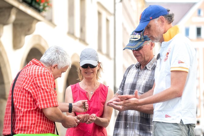 Munich Old Town Walking Tour - The guide experience: why humor and pacing show up so often