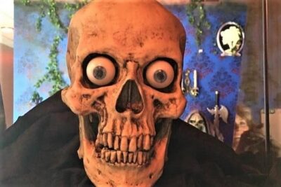Murder & Mayhem Haunted History Walking Tour - What you’ll do: several outdoor stops and photo moments