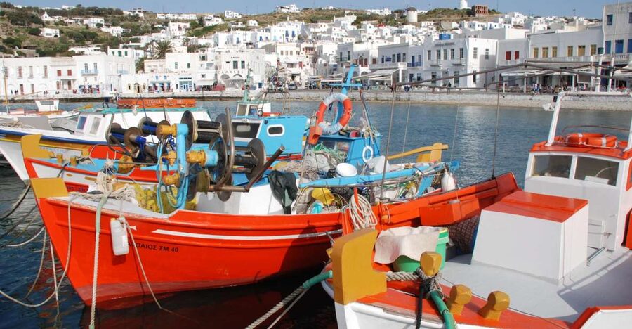 Mykonos: Half-Day City Walking Tour and Island Bus Tour - Key Things I’d Watch For