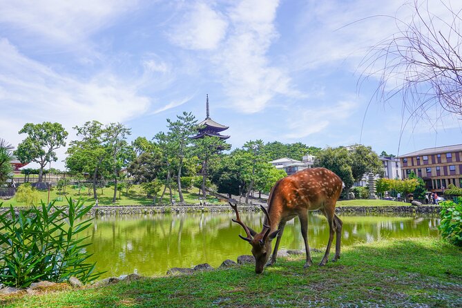 Nara Half Day Trip Walking Tour (Private Option Available) - Kicking off at Kofuku-ji’s five-story pagoda