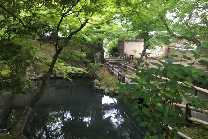 Nara Half Day Trip Walking Tour (Private Option Available) - Kasuga Taisha and the Kasugayama forest: shrine time that feels local
