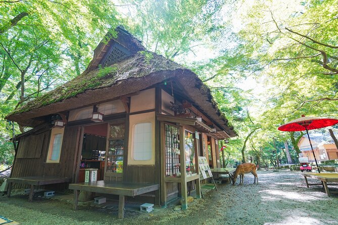 Nara Half Day Trip Walking Tour (Private Option Available) - Nara Park deer zone: cookies, bowing, and boundaries