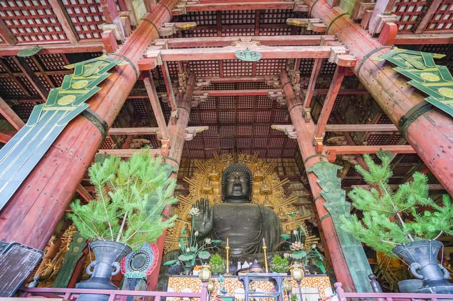 Nara: Half-Day UNESCO Heritage & Local Culture Walking Tour - Key highlights you’ll feel right away