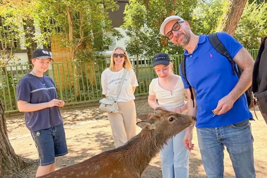 Nara: Half-Day UNESCO Heritage & Local Culture Walking Tour - From Kintetsu Nara Station to old Nara: how the tour starts