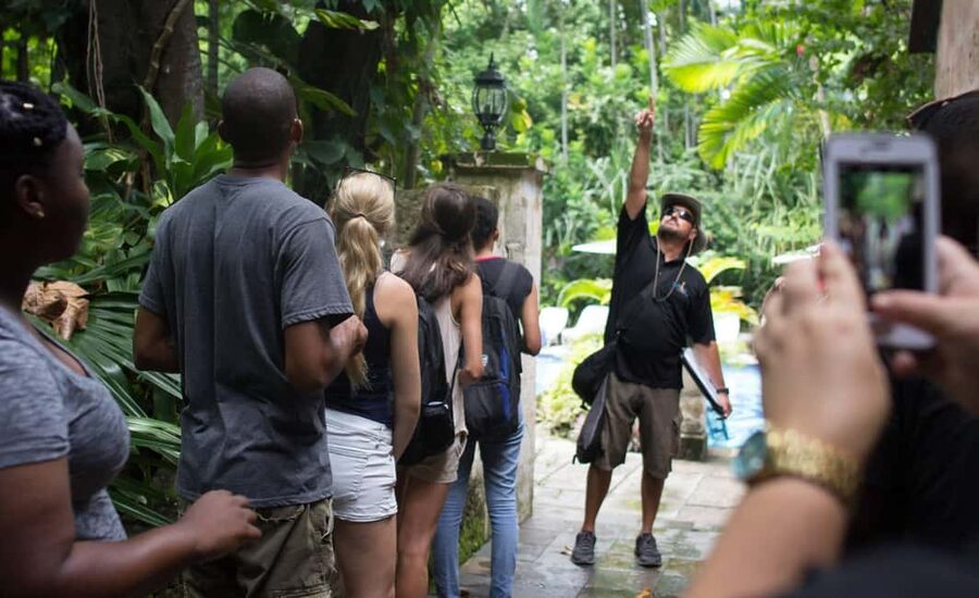 Nassau: Bites and Sites Food and Cultural Walking Tour - Why Old Nassau Food Beats the Cruise-Port Grabs