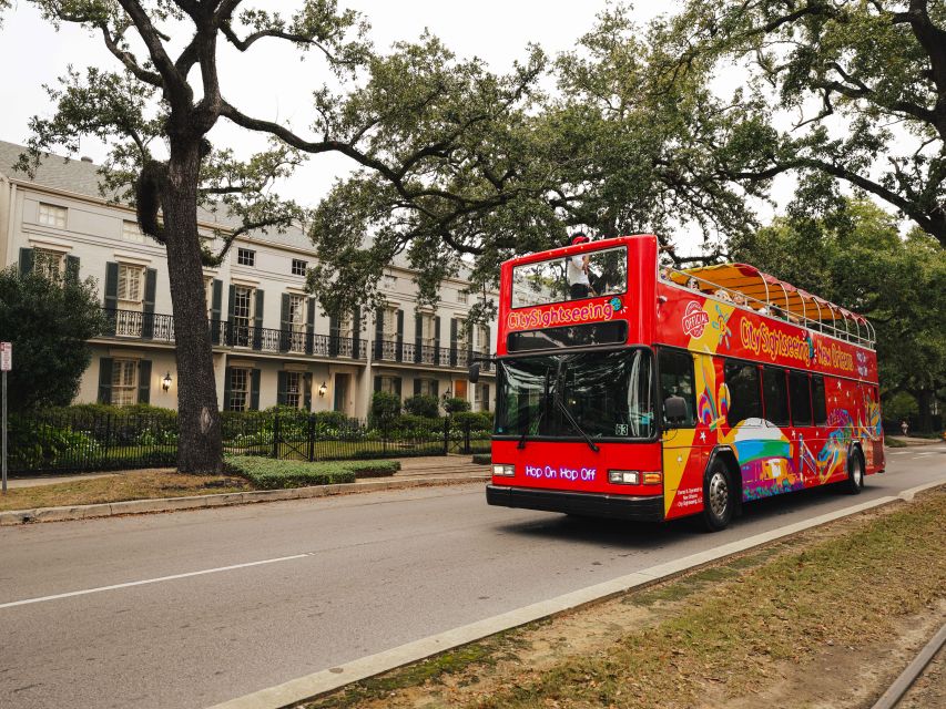 New Orleans: 2 or 3 Day Hop-On Hop-Off Bus with Walking Tour - Why this open-top loop makes New Orleans easier to enjoy
