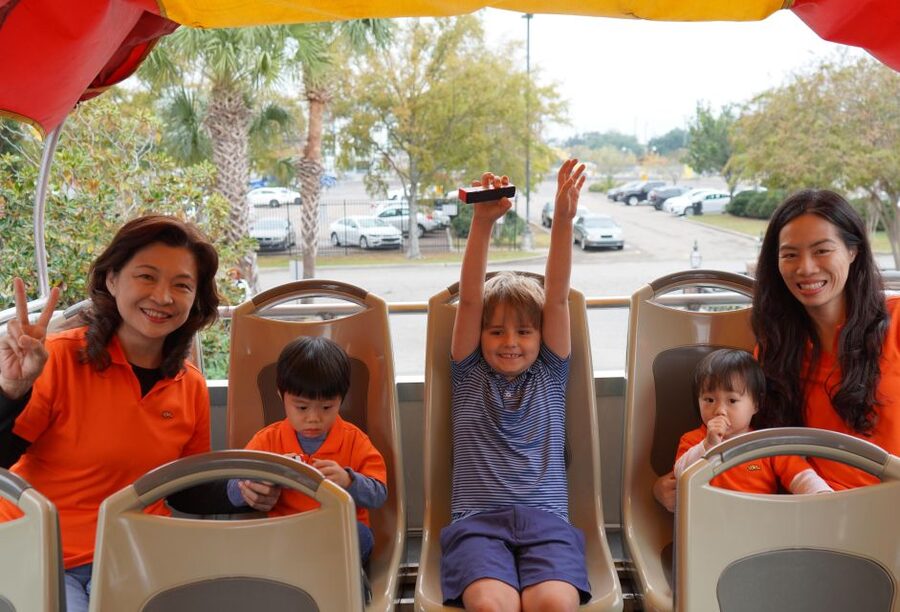 New Orleans: 2 or 3 Day Hop-On Hop-Off Bus with Walking Tour - Deals and discounts: how to use them without turning into a shopper
