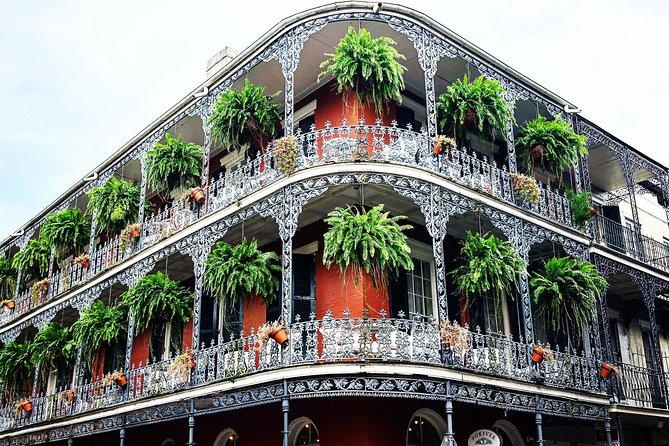 New Orleans French Quarter Architecture Walking Tour - Price and Value: $40 for a Local, Licensed Guide