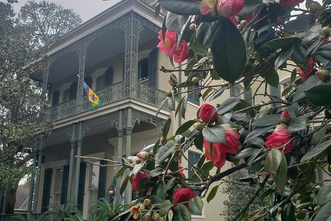 New Orleans Garden District History Walking Tour - What You’ll Learn About New Orleans: Status, Space, and Mortality