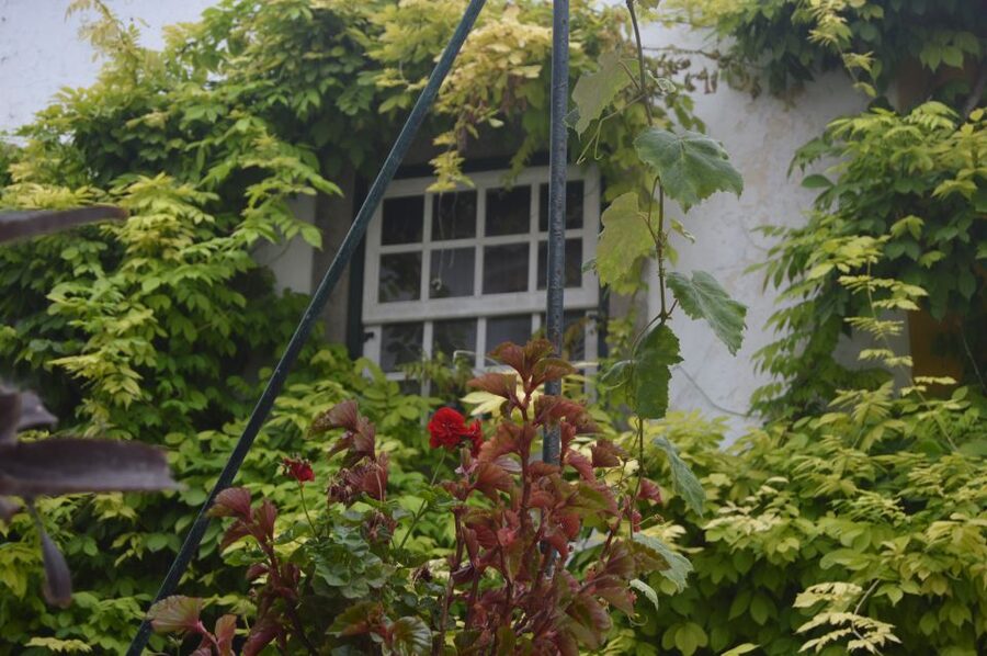 Óbidos: Medieval Tales & Secrets Spots Guided Walking Tour - The “Town of the Queens” theme: Catherine, Isabel, and Leonor de Avis