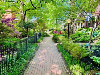 Old Louisville: History and Architecture Walking Tour - Meeting at the brown sign near Central Park: how to get started