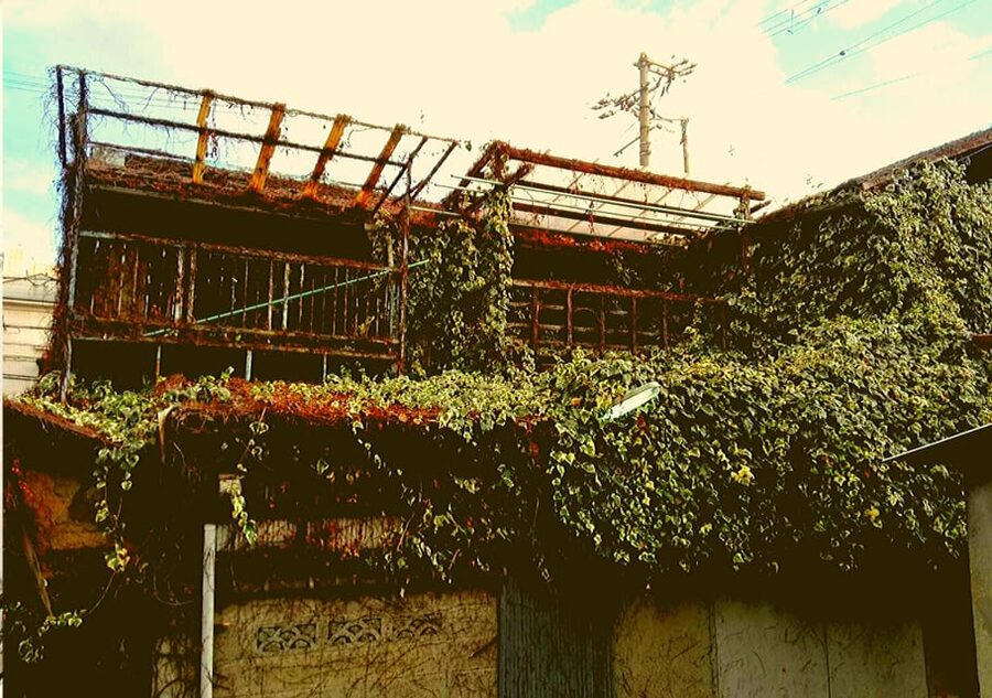 Osaka: Deep Backstreets Walking Tour with Dinner Option - Price and time: $40 for street-level Osaka