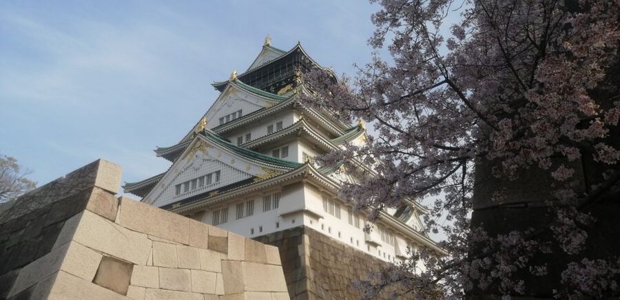 Osaka: Five Must-See Highlights Walking Tour & Ramen Lunch - Start Smart at Tanimachi: Meeting Point and How the Day Flows