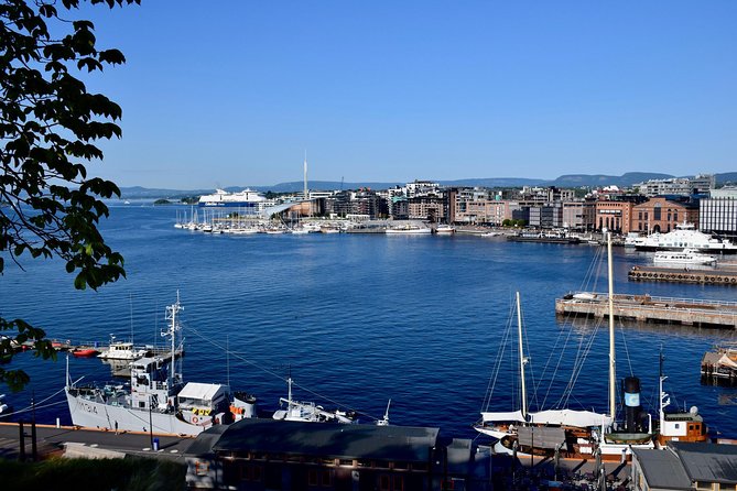 Oslo: Private Walking Tour with a Local - Meeting points that actually work: Cathedral or The Tiger