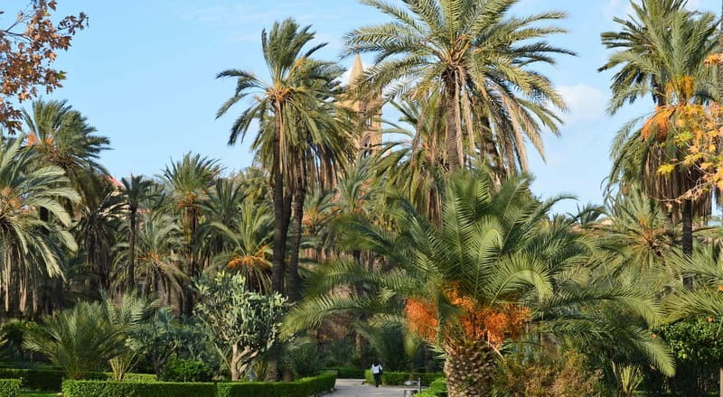 Palermo: Art and Architecture Walking Tour - Why Palermo works best on foot with a small group