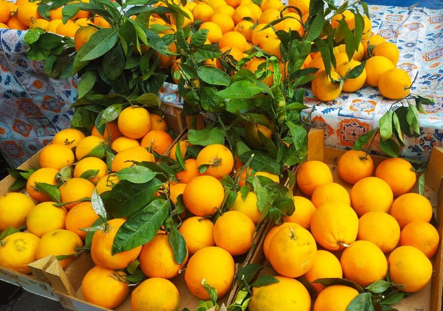 Palermo: Street Food Walking Tour with Local Guide & Tasting - Meeting at Piazza Giuseppe Verdi: Start at Chiosco Vicari