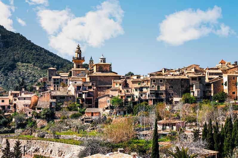 Palma, Cathedral & Valldemossa: Guided walking Tour - Key things to know before you go