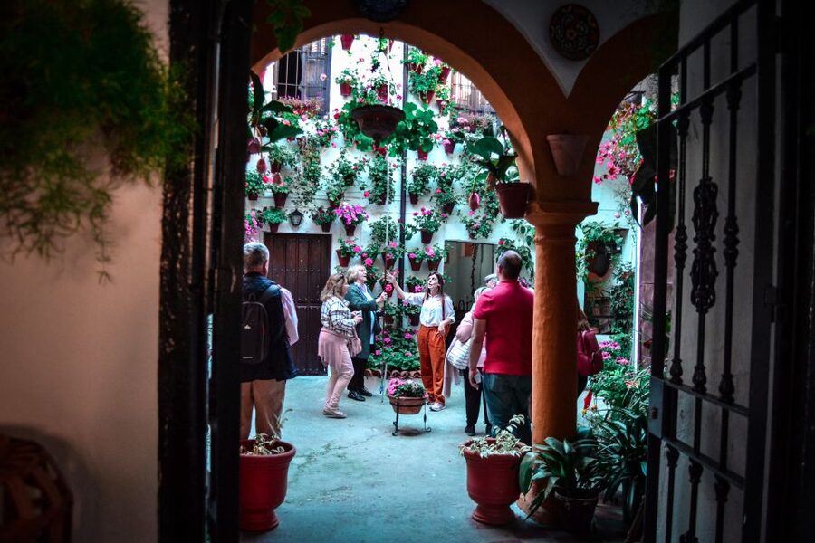 Patios of Cordoba Walking Tour - San Basilio Courtyards: The Patio Tradition You Actually See