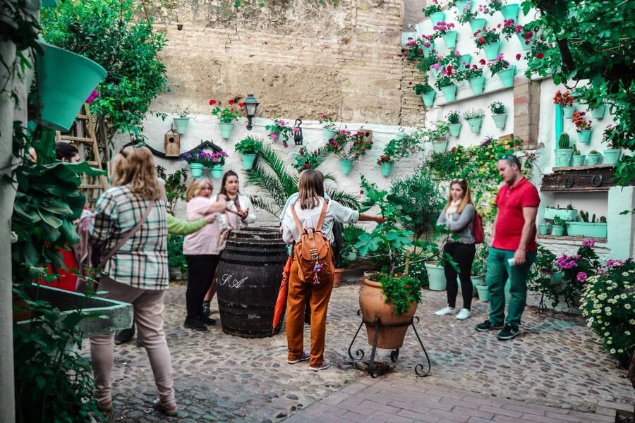 Patios of Cordoba Walking Tour - Your 2-Hour Walk: What You’ll Find in Each Courtyard Stop