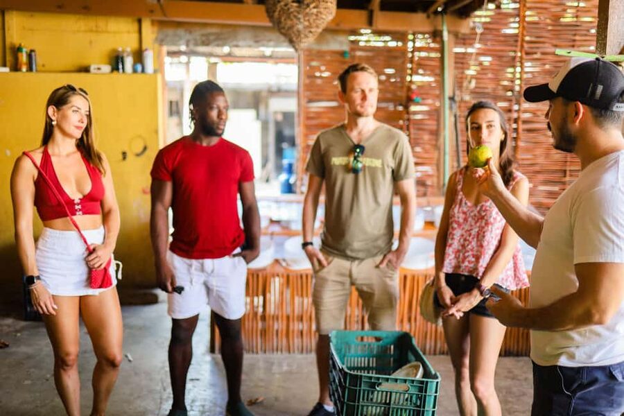 Playa del Carmen: 3-Hour Local Food Walking Tour - The Sweet Finish: Handmade Popsicles and Agua Fresca