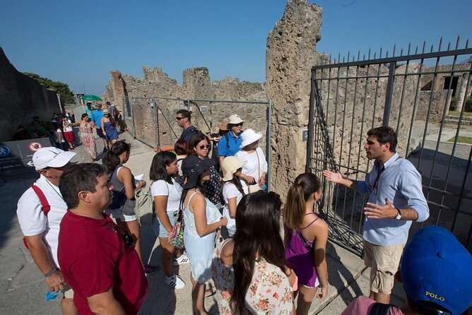 Pompeii 3 Hours Walking Tour Led by an Archaeologist - House of Menander and House of the Faun: seeing home life through architecture