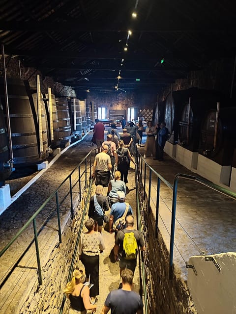 Porto: Port and Douro Wine Walking Tour with 9 Tastings - Key Highlights You’ll Care About