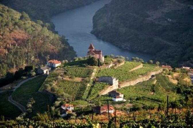 Porto: Port and Douro Wine Walking Tour With 9 Wine Tastings - Key Things You’ll Notice on This Porto Wine Walk