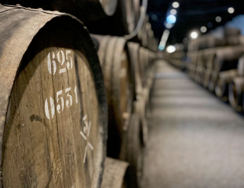 Porto: Wine Tasting with Tapas Walking Tour - Who This Tour Suits Best (And Who Might Want Something Different)
