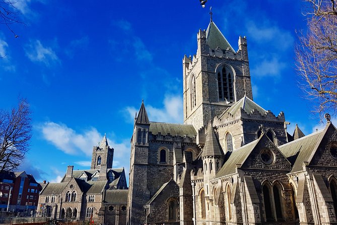Private Fantastic Tour of Dublin (Walking Tour) - Leinster House: Ireland’s political centerpiece up close