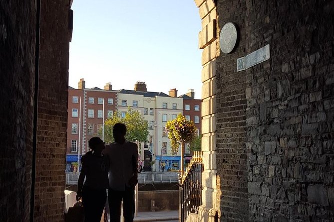 Private (Nearly!) All of Dublin in 5 hours (Walking Tour) - Museum choice: National Museum of Ireland archaeology or extra Book of Kells time