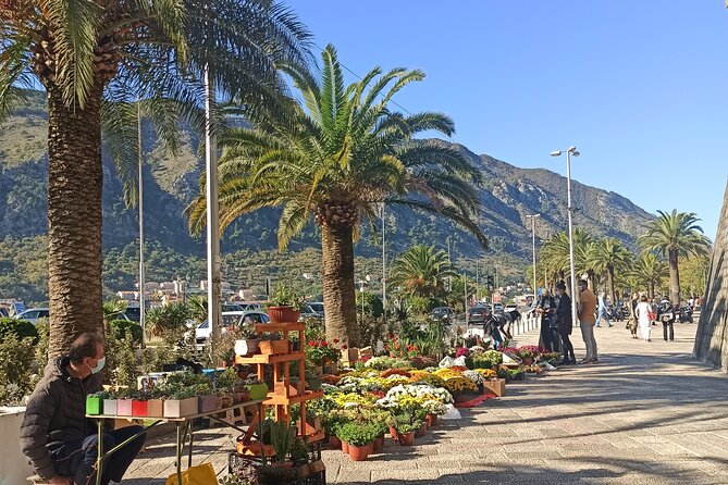 Private Walking tour with Wine and Food - Time, meeting point, and how to make this easy on yourself