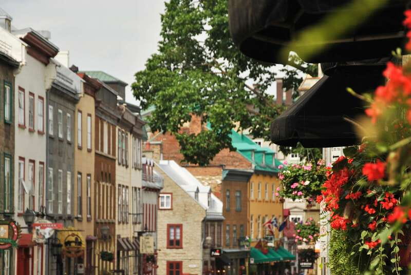 Quebec City: Old Quebec Historical Walking Tour - Basilica of Notre-Dame de Québec: the spiritual center with a reason
