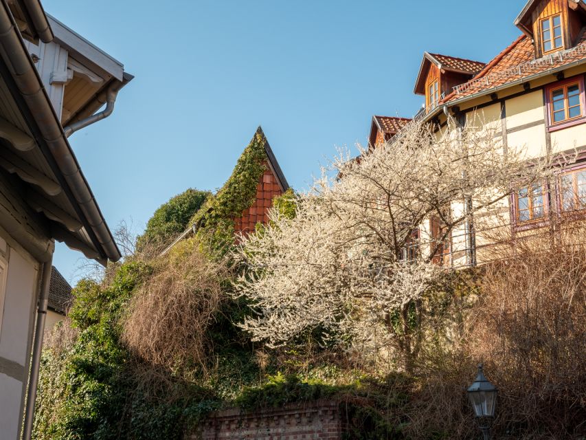 Quedlinburg: Guided City Highlights Walking Tour - Key Things You’ll Enjoy on This Quedlinburg Highlights Walk