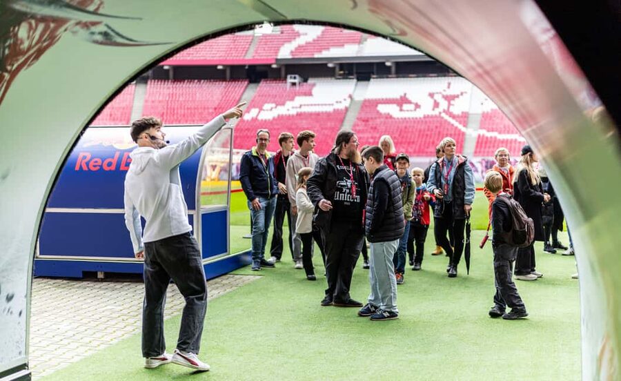 Red Bull Arena Leipzig: Stadium Access & Guided Walking Tour - Home cabin, stadium interior, and the best public viewpoints