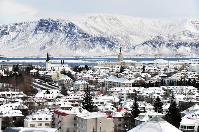 Reykjavik City Walking Tour - Old Harbour to Harpa: where the bay views land